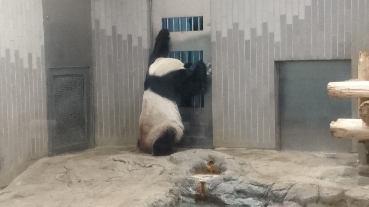 予想通り抽選は落選😭

※ポストと写真は関係ありません🤣