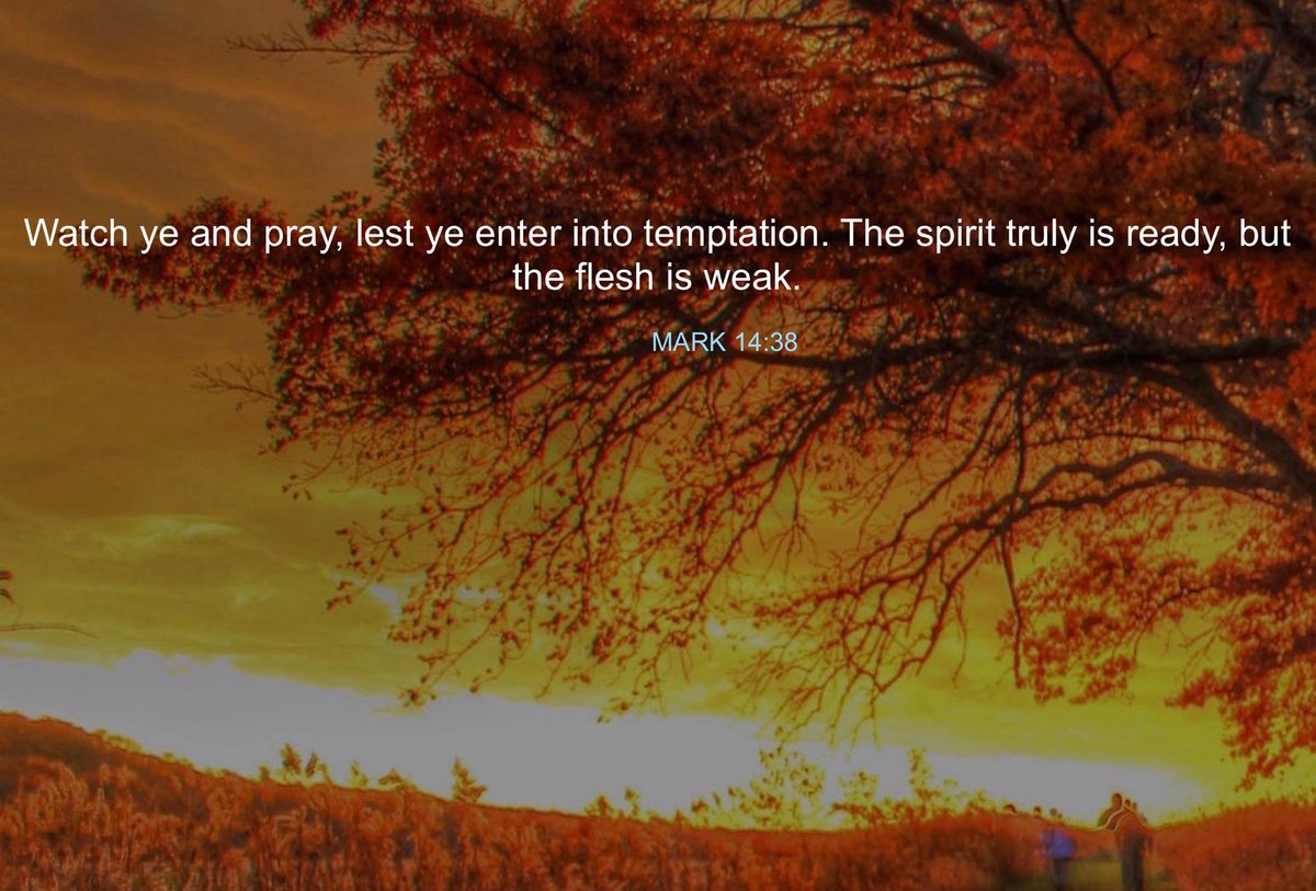 WVBalrog's tweet image. 