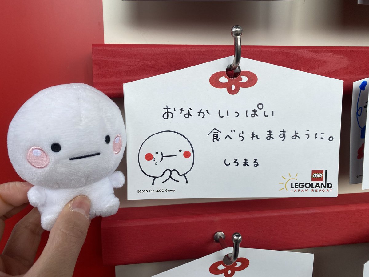 お願いごとをしてきたよ♡