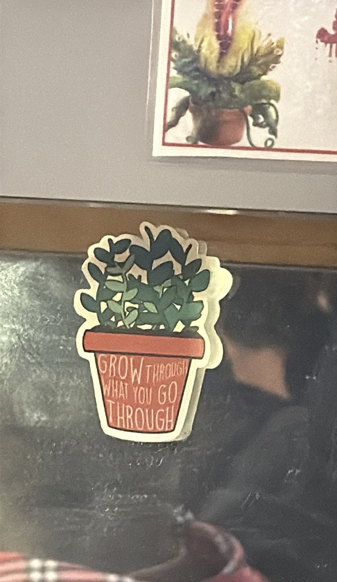 Um adesivo de referência a Little Shop of Horrors!

Joshua Bassett | Instagram Stories