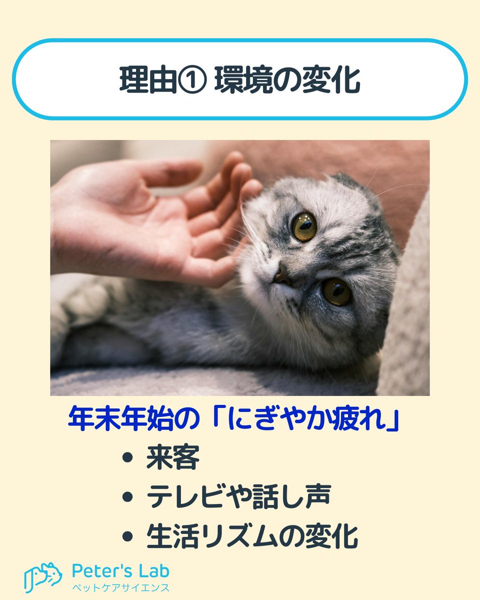 PetersLab_JP tweet picture