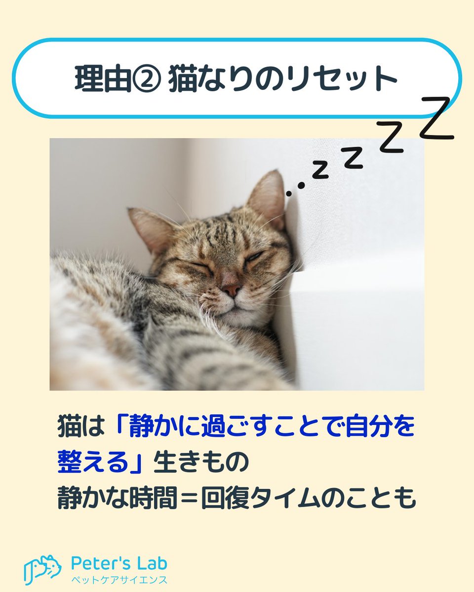 PetersLab_JP tweet picture