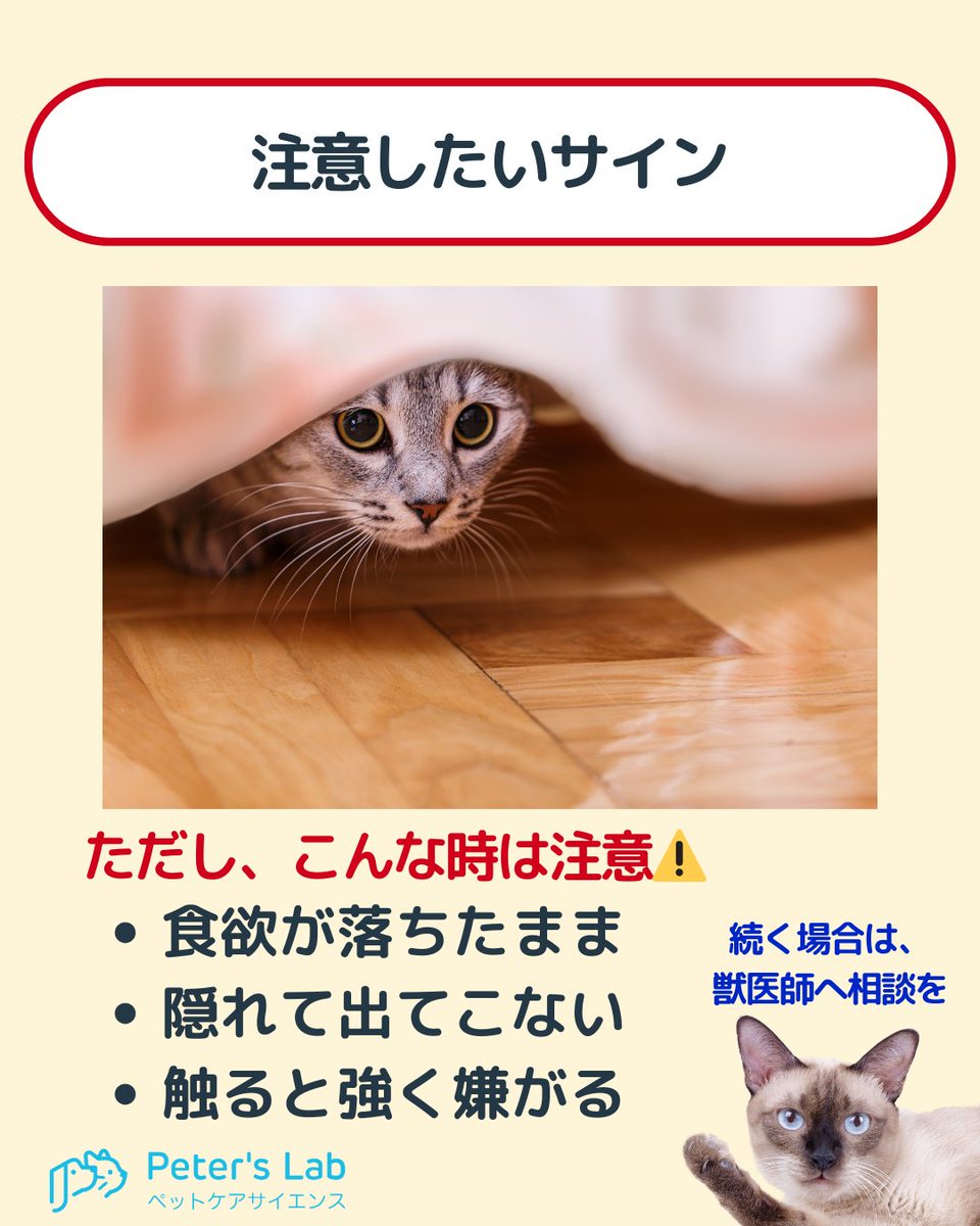 PetersLab_JP tweet picture