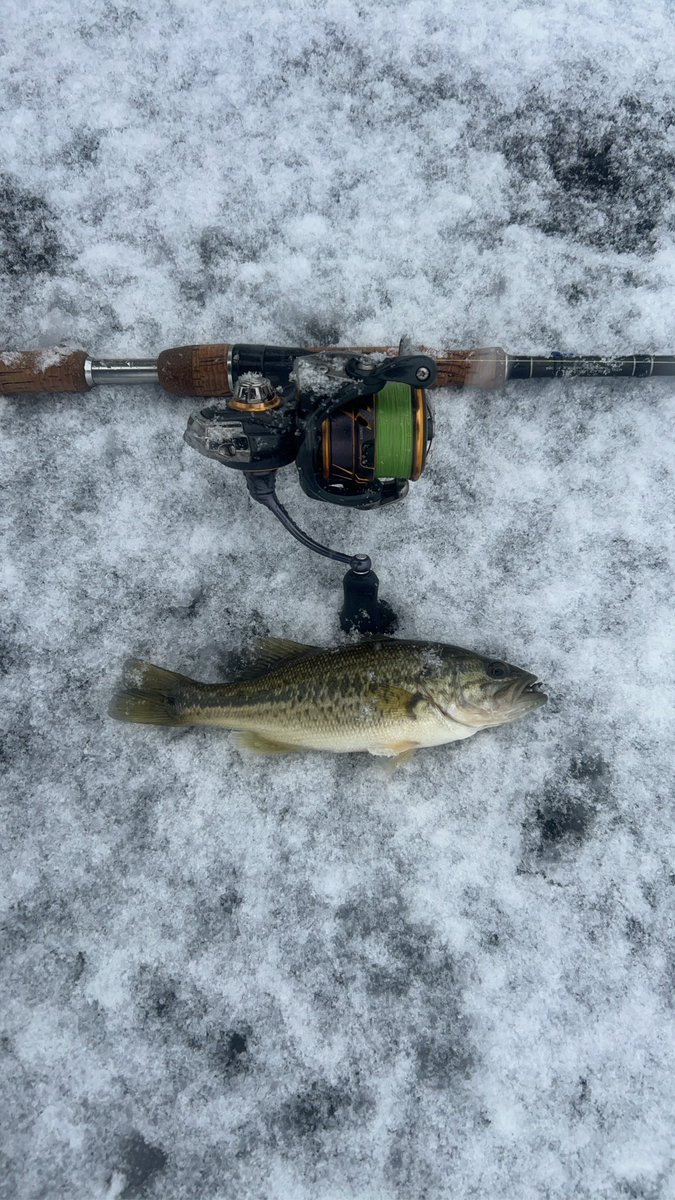 こうちゃん (@kou_chan02) / Posts and Replies / X