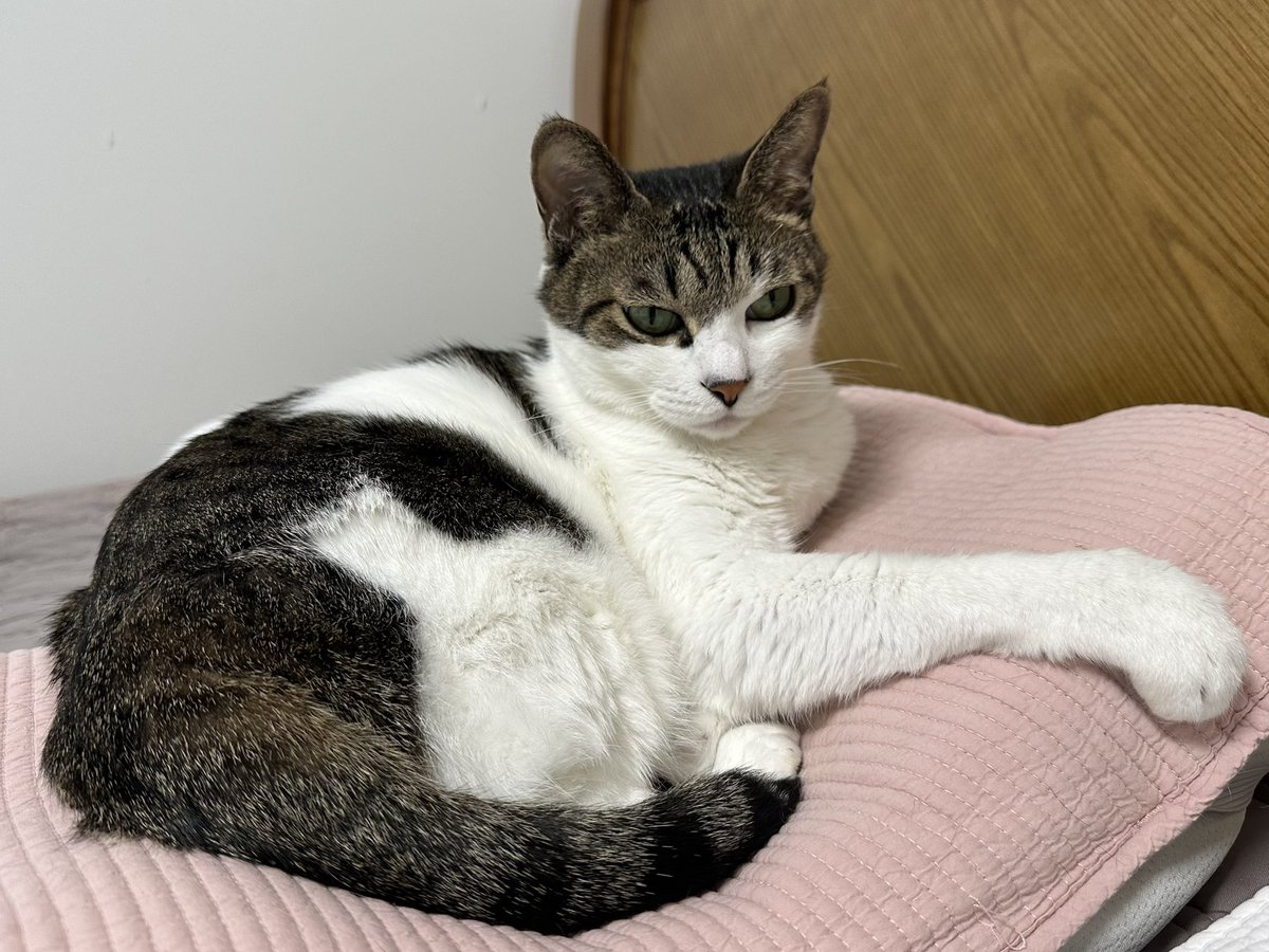 밥 잘 먹고 있으라