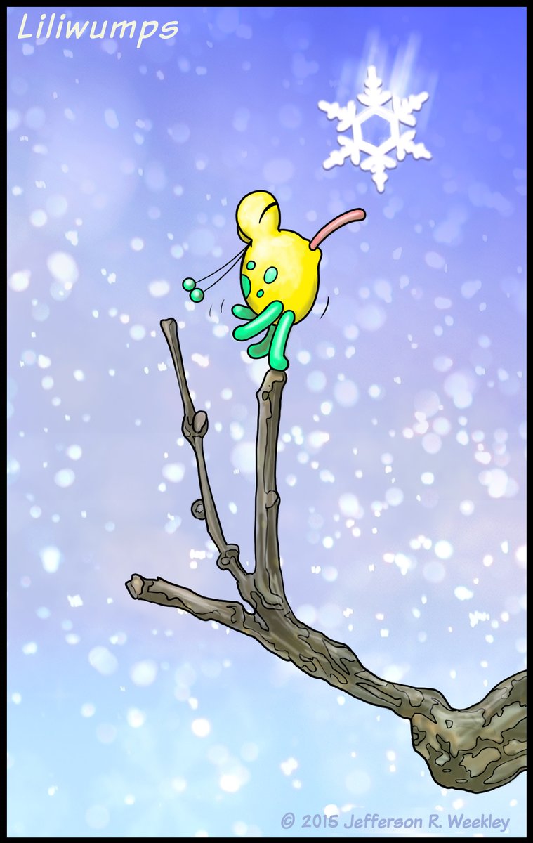 Jefferson R. Weekley (@nawalli777) on Twitter photo 