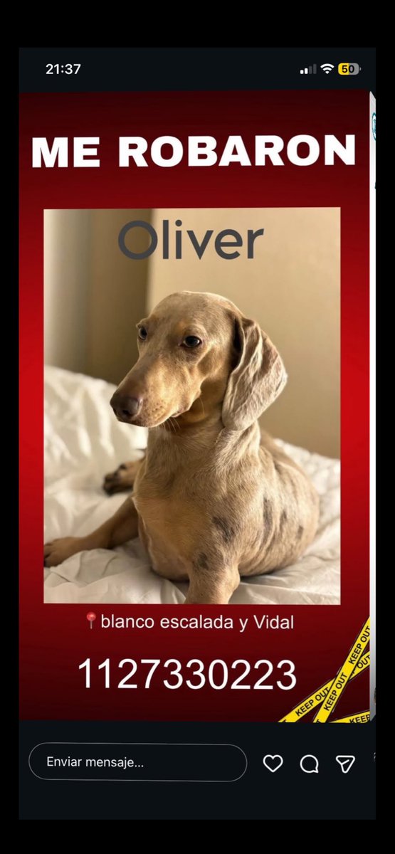 <a href="/lagarzasosa_/">Puchi</a> Acá está el celu del dueño