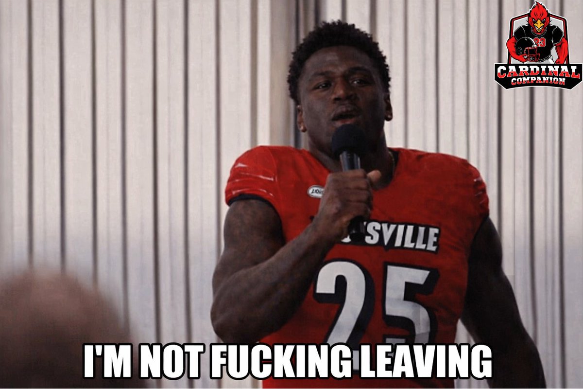 Cardinal Companion (@cardscompanion) on Twitter photo 