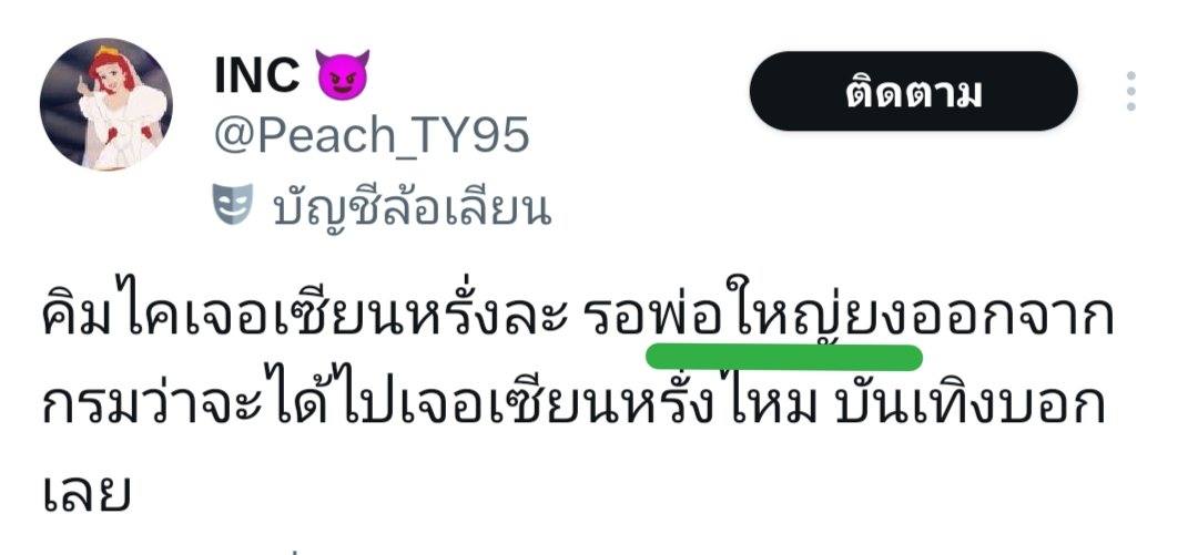 <a href="/Peach_TY95/">INC 😈</a>