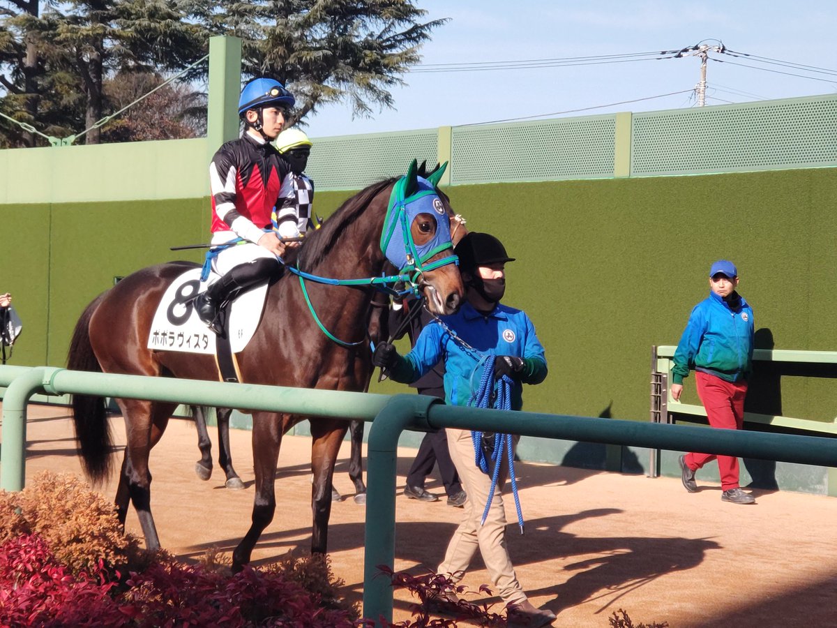 ラスターヴァース
ポポ
行ってらっしゃいませ