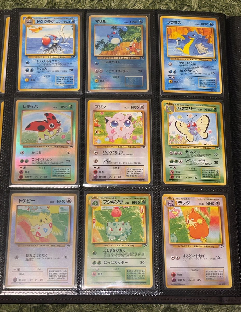 サザンアイランドのマリル、レディバ、トゲピー、ヤドキングは右下の