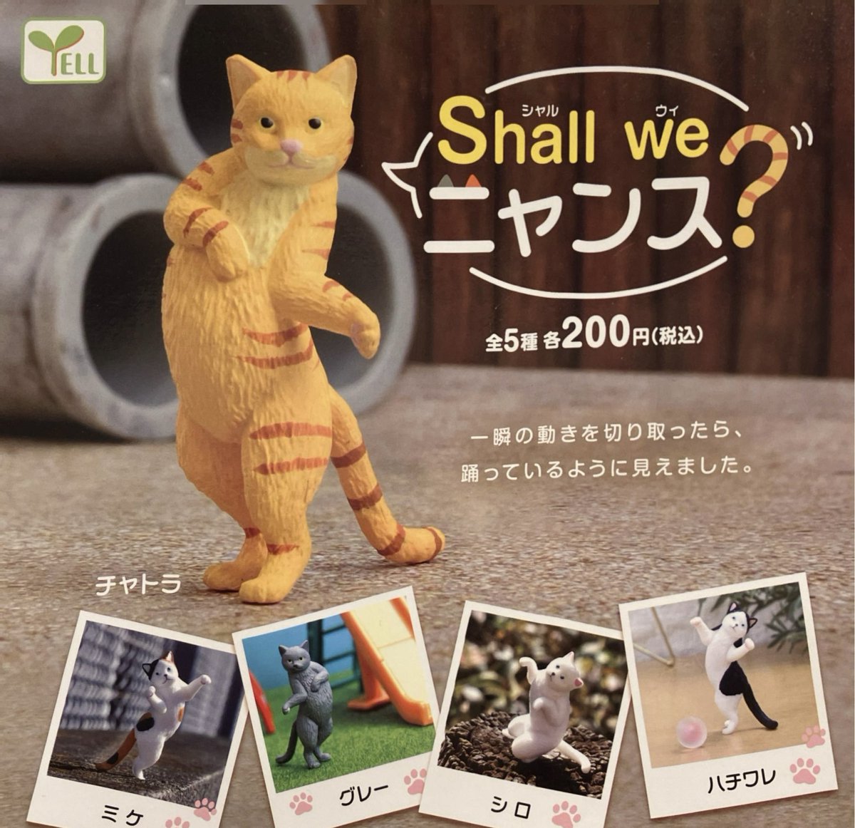 ♻️1月5日（月）再入荷情報♻️ ▶︎モブゾンビ ▶︎Shall we