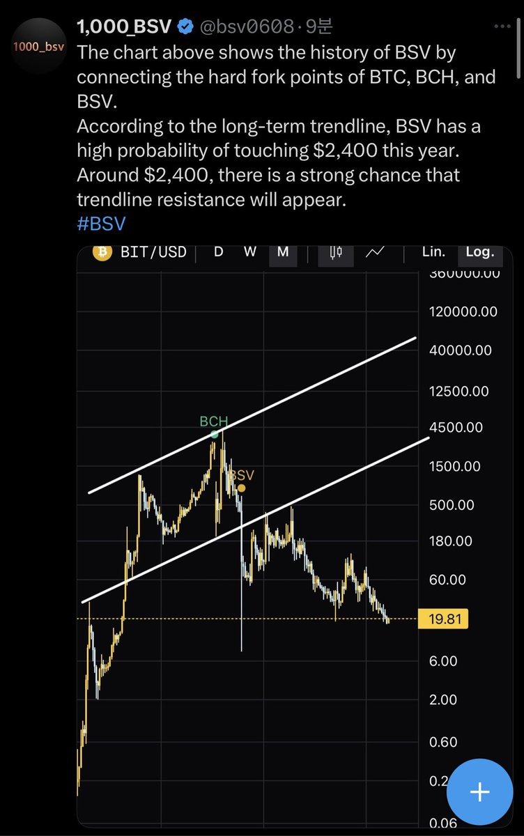 1,000_BSV tweet media
