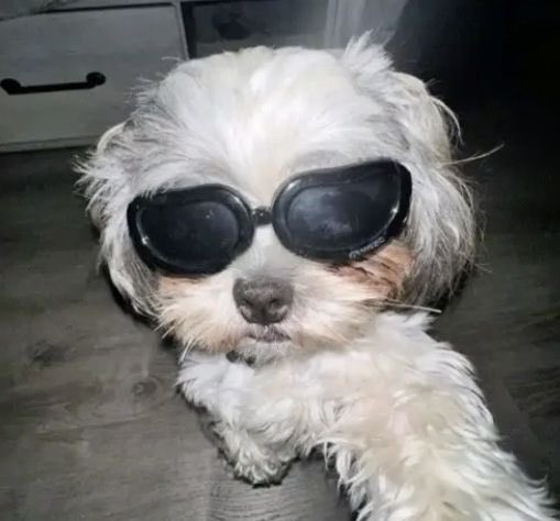 MariaJoseeTo's tweet image. Parcharse siempre será la mejor opción