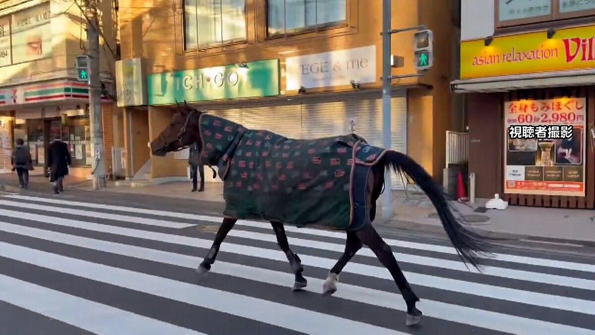 【通報】明治大学の馬が一時脱走、路上歩き回り自らキャンパスに戻る
news.livedoor.com/article/detail…

警察によると、生田キャンパスの馬術部が飼育している馬が厩舎から脱走し、路上を徘徊していたという。馬はしばらく路上を歩き回り、通報から約30分後に自らキャンパスに戻った。馬にけがはないという。