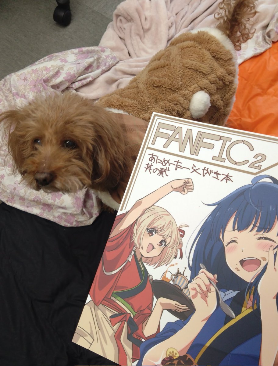 ritosalmon's tweet image. 会社行ったら幻の本置いてあった❗️さんきゅー