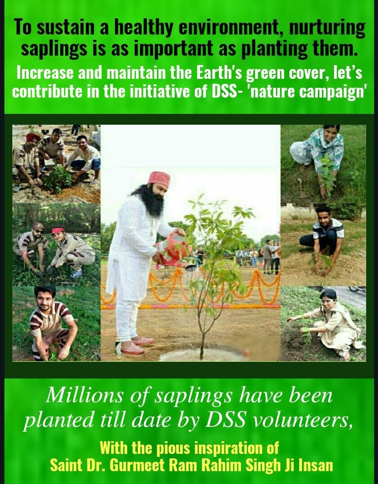 MandeepKaurIns9's tweet photo. To Save Mother Earth, it's important to plant and nurture trees. Save Earth as it is the only planet where you get birth. Saint Dr Gurmeet Ram Rahim Singh Ji Insan motivates masses to plant atleast 12 trees in a year and take well care of them. #NartureNature https://t.co/9OkMQ7pTDp