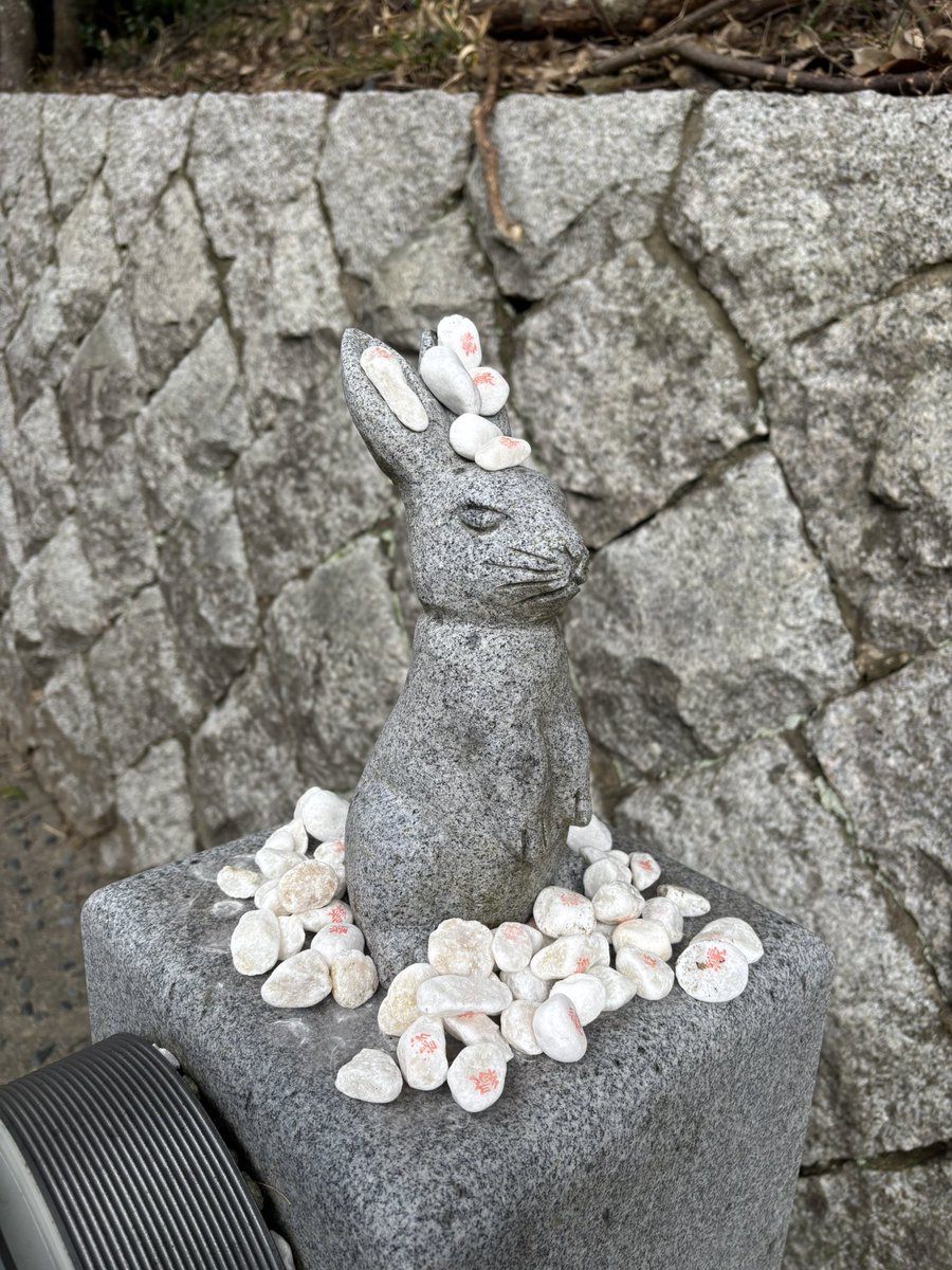 Post by 黒衣野狼🐏🍎🐚 on X: 白兎神社来た！