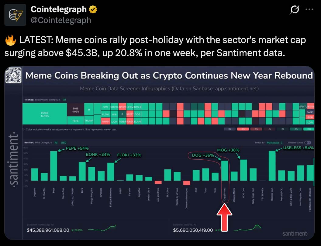 Vincent (Cryptolution) 👑 tweet media