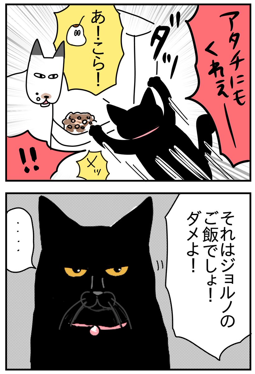 くまつな⭐︎ くまさん専用 くまさん専用 クマ専用 クマさん ご確認用