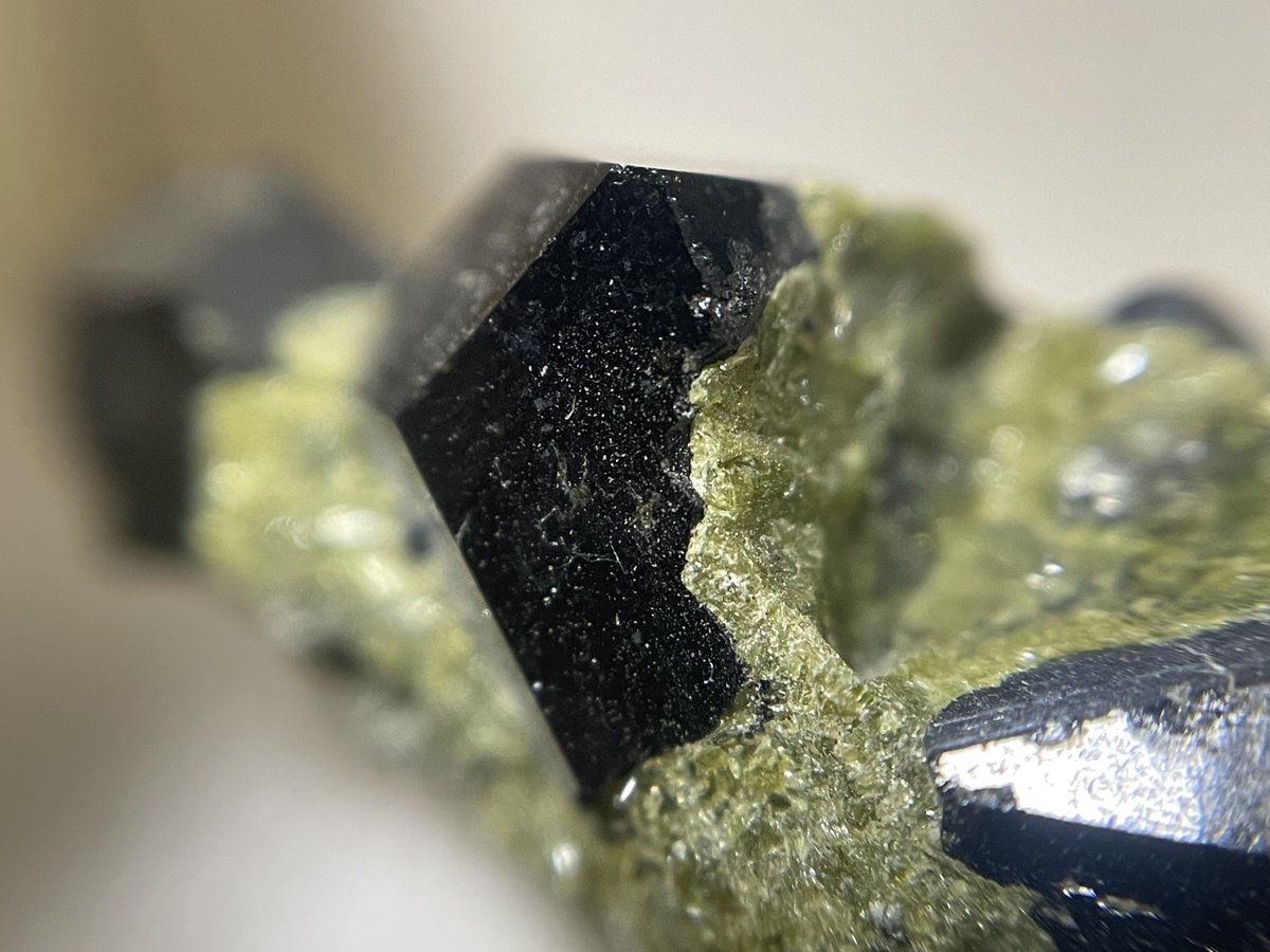 stellar_chaton's tweet image. スペインLos Serranos Quarryのアンドラダイト(メラナイト)
持っていない産地だったので速決でした。