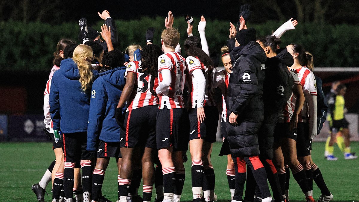 Happy Monday Bees 🐝