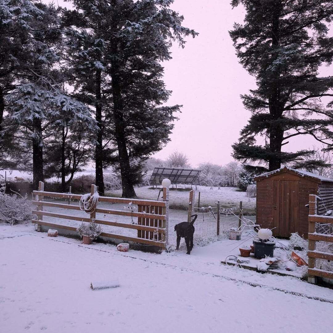 madITrunner's tweet photo. #winertsnow #countymayo https://t.co/5AyEnlhyyQ https://t.co/9eIWQiORt2