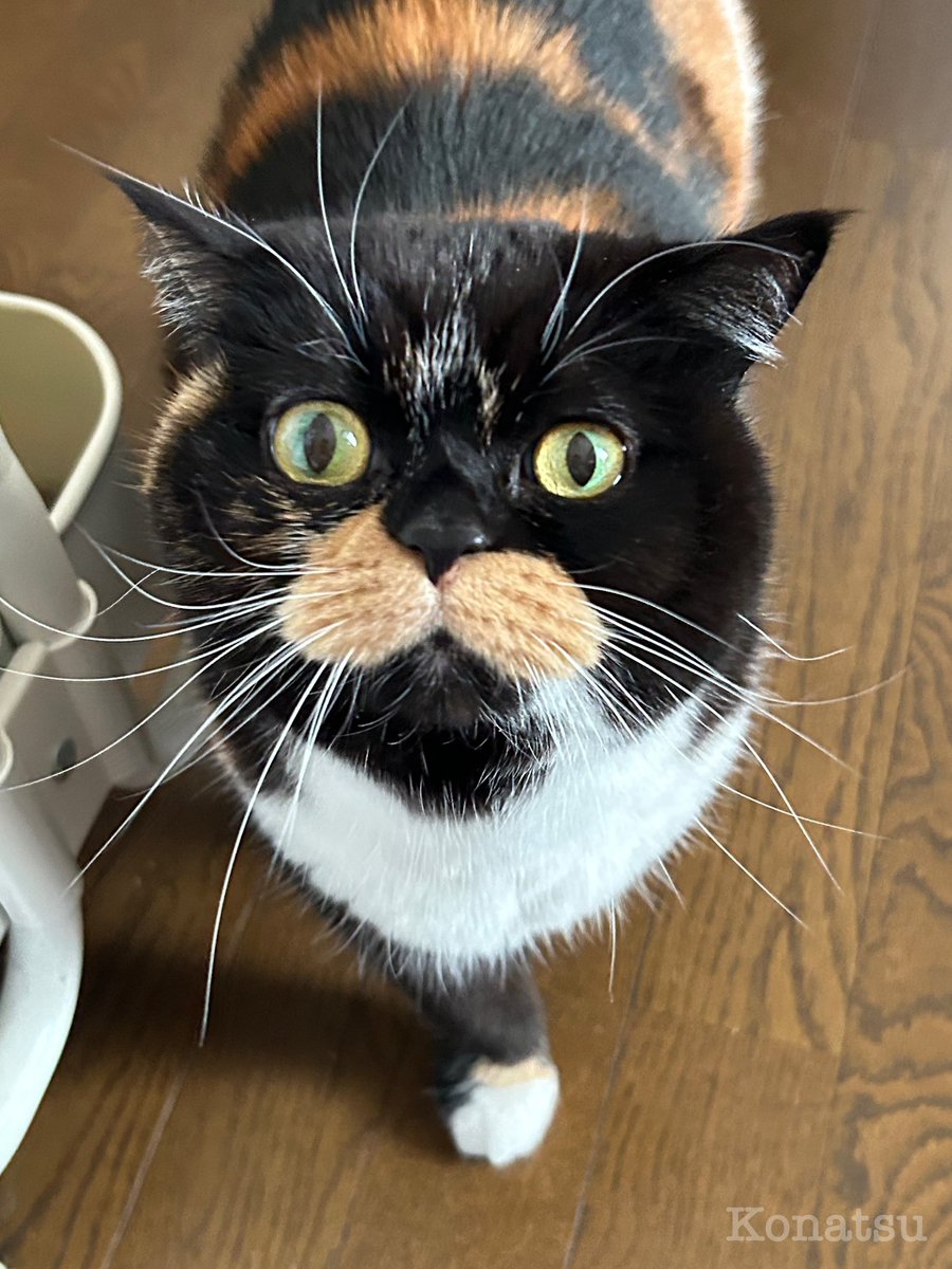 ｽﾝｽﾝ…ｽﾀ