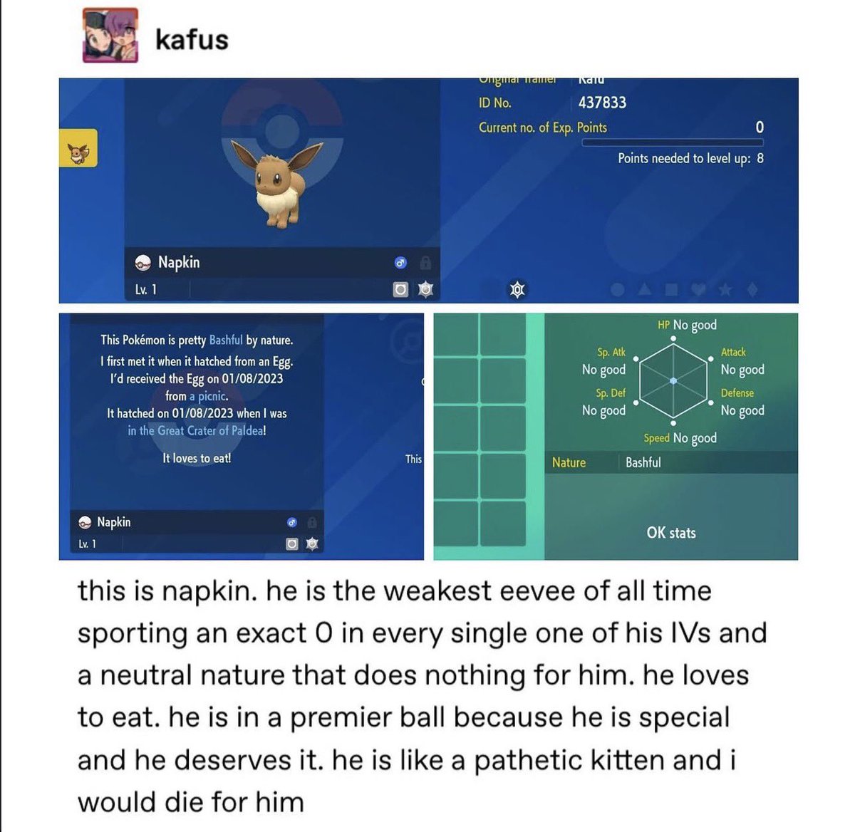 TsarSylveon's tweet image. All of my homies love Napkin!