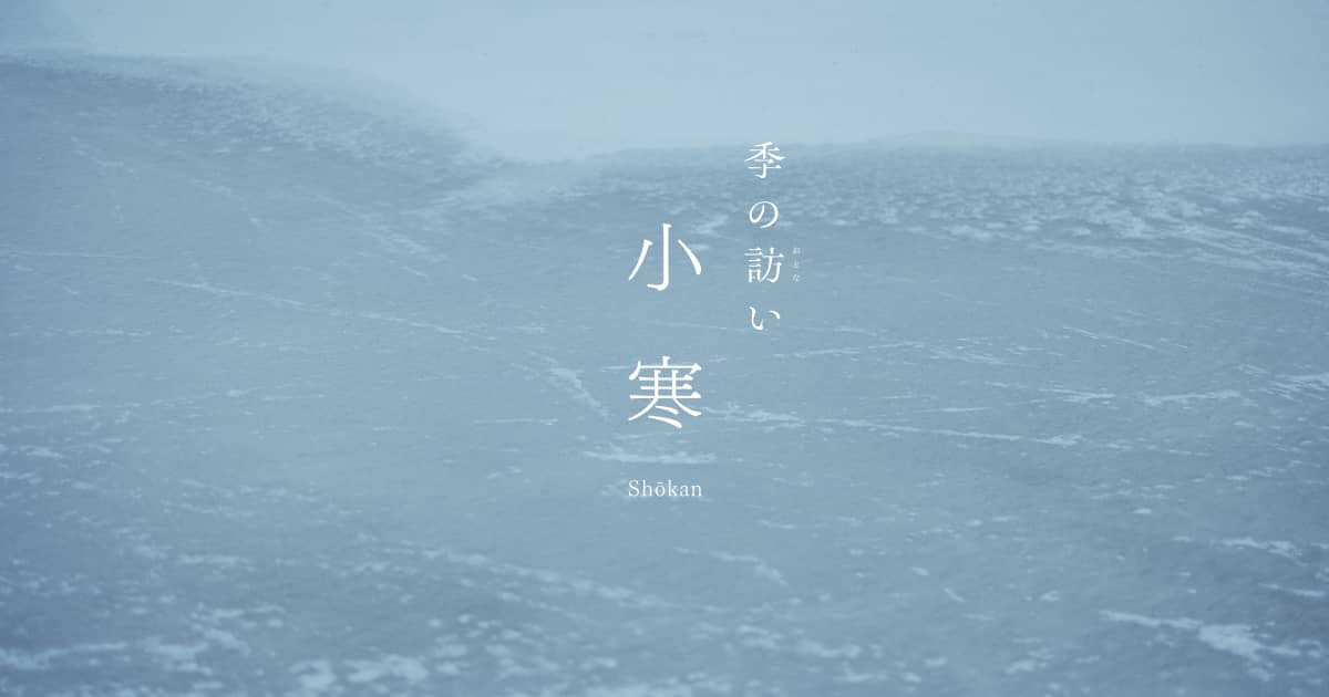 「小寒」を迎え、いよいよ寒の入り。
この日から節分までのひと月は「寒の内」といい、一年で最も寒い時期です。正月休みでなまった身体も、凍てつくような寒さでぐっと引き締まります。
さあ、清新な気持ちで、ことしの仕事はじめとまいりましょう。
inden-ya.shop/apps/note/24_s…
#印傳屋 #甲州印伝 #印伝