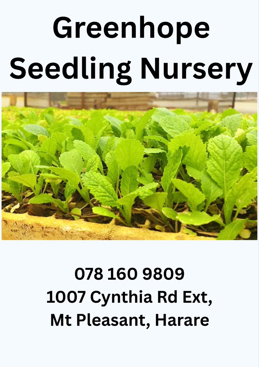 ‘The Lord will send a blessing on your barns and on everything you put your hand to. The Lord your God will bless you in the land’. – Deuteronomy 28:8

Let’s start strong Farmers. The Lord will in deed bless the works of our hands. Happy Monday.

#Greenhopeseedlings