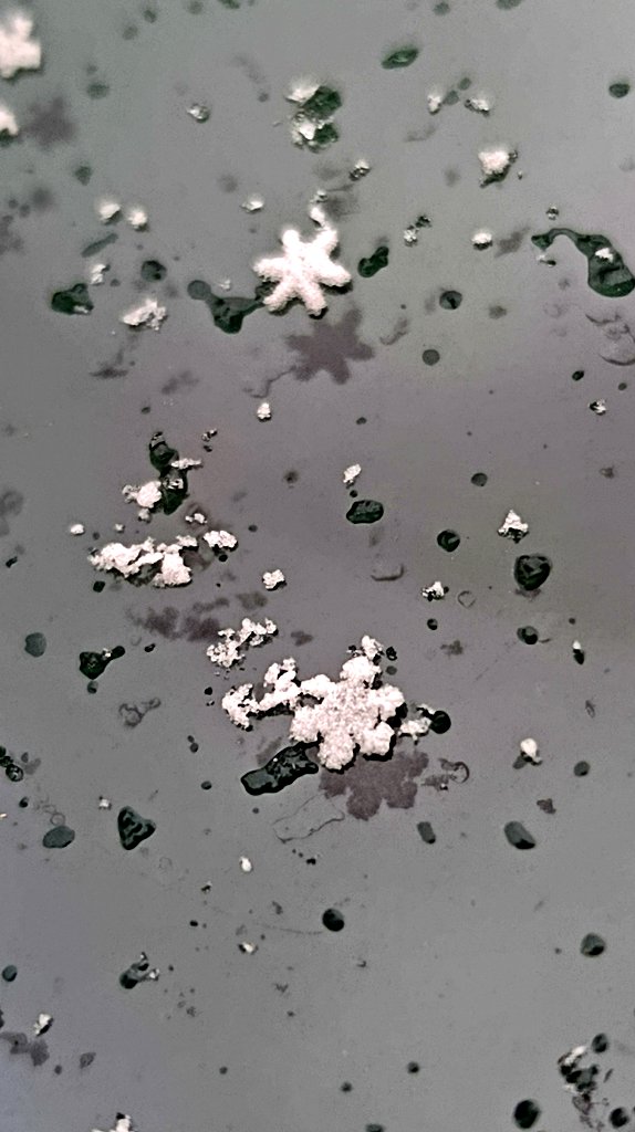 Anecdòtica la nevada però sempre és bonic veure caure la neu i descobrir els flocs a la porta de casa teua ❄️.