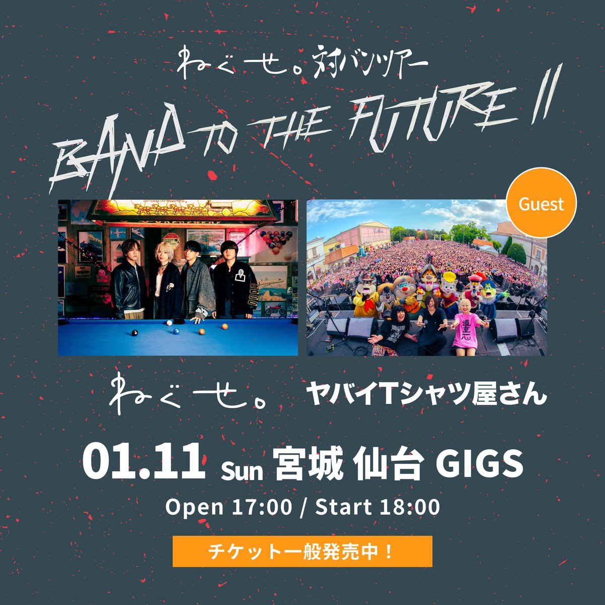 ライフバンテージ バンデージ2伸縮 TG328BK｜BODYMAKER（ボディメーカー）