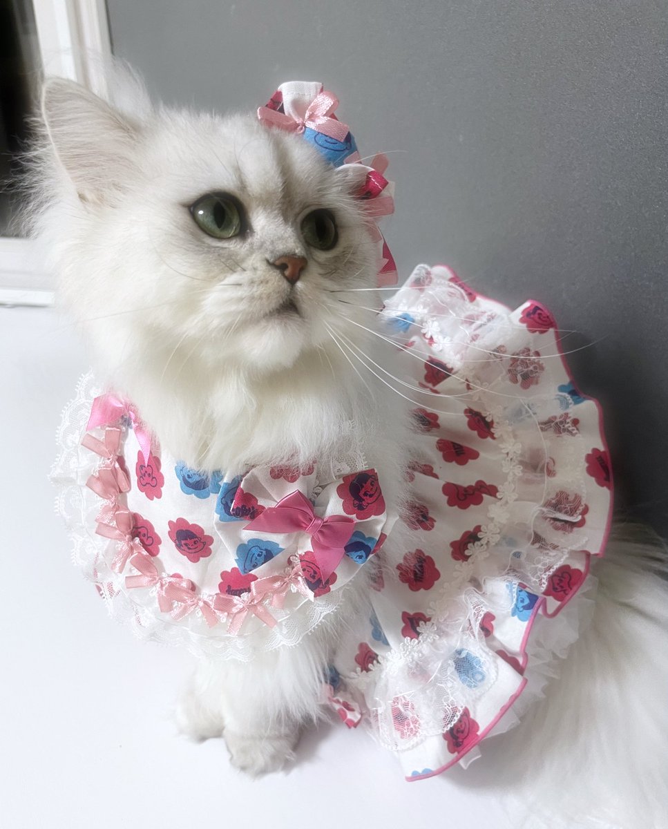 茶々ママ (@chachamama0515) / Posts / X