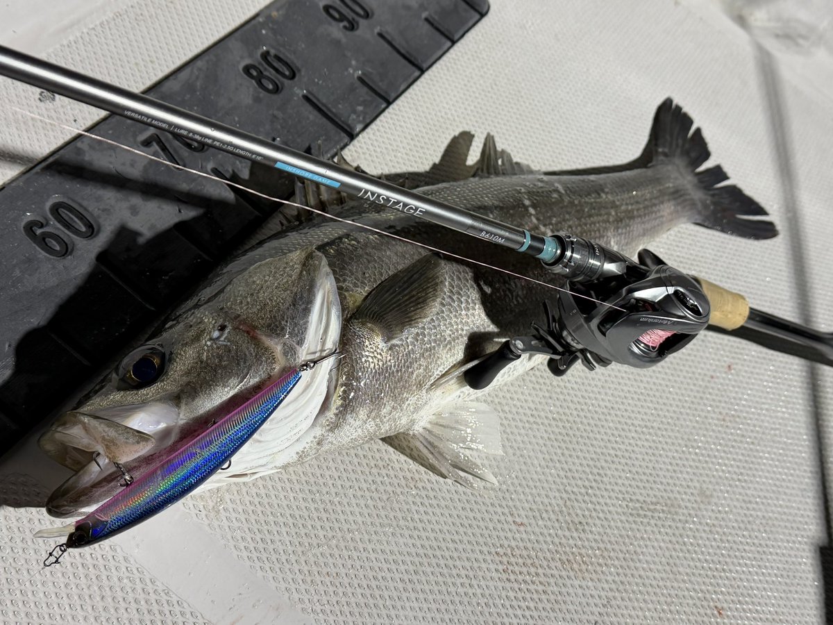 龍岩 朋樹 (@Tatsu_uuuO) / Posts / X