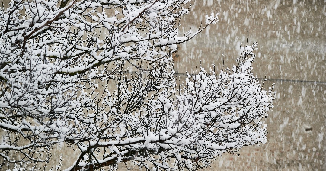 Sunderland College tweet media