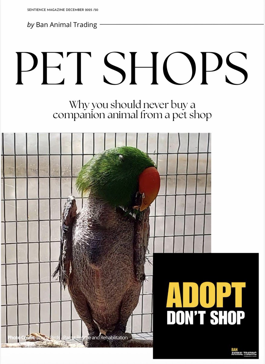 🎉 Happy 2026! 

Our article on why pet shops selling animals must never be supported  - now live in @SentienceMag (free to read!)
💚 Make 2026 count:
✅ Shop at stores selling pet supplies only
✅ Adopt from shelters, don’t buy

Read: sentiencemag.co.za/magazine
 #AdoptDontShop