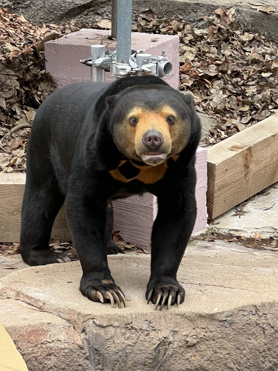 そうやな、プロフにはもう注意書き書いてあるんやし、いじったら悪いの