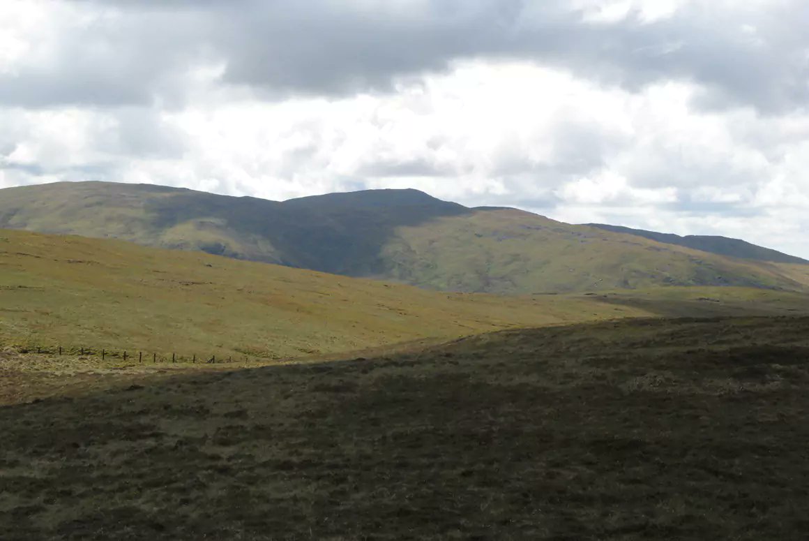 Welsh Country tweet media