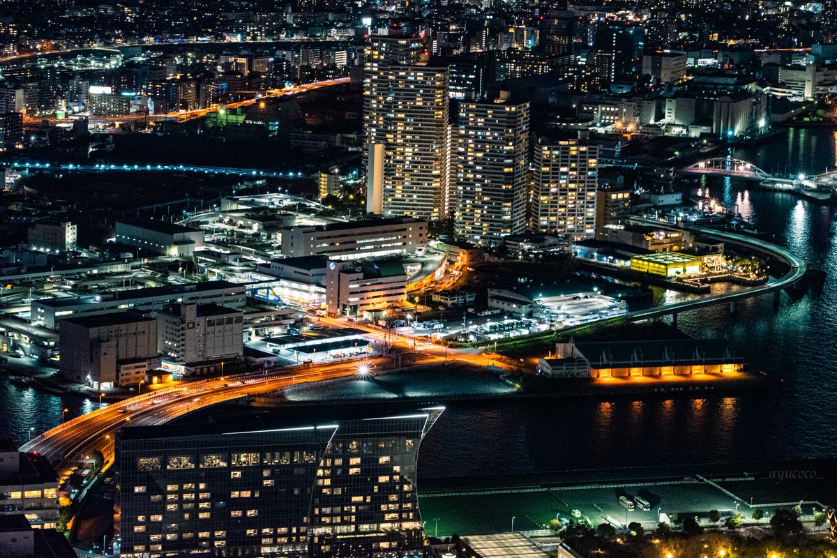 明るく穏やかな年に
なりますように𓂃𓈒𓂂𓇬

今年もよろしくお願いします𓈒𓂂𓍯

#写真好きな人と繋がりたい