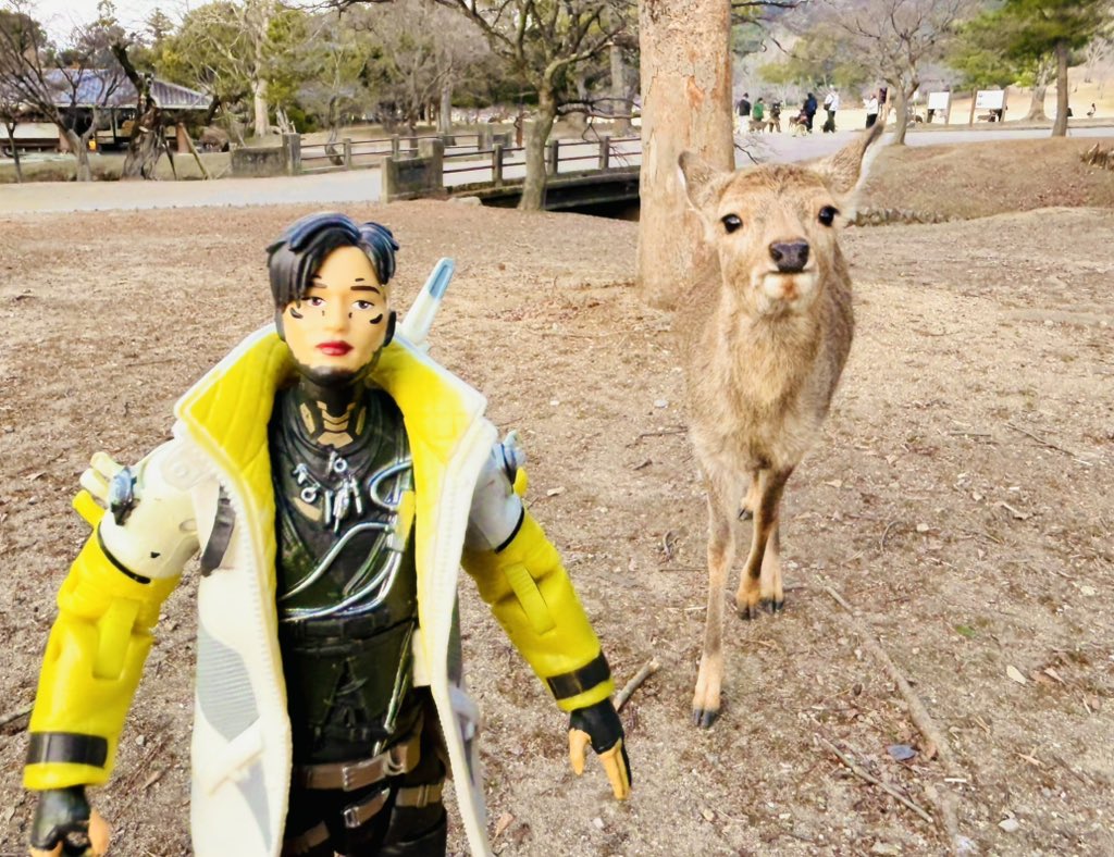 コメント頂いたら たけぞー様にのみ 発送します また帰ってくるぞッ！！