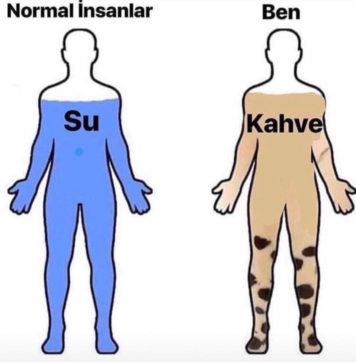 busrabaydil's tweet photo. Bendir; https://t.co/QLtGRiyfSp