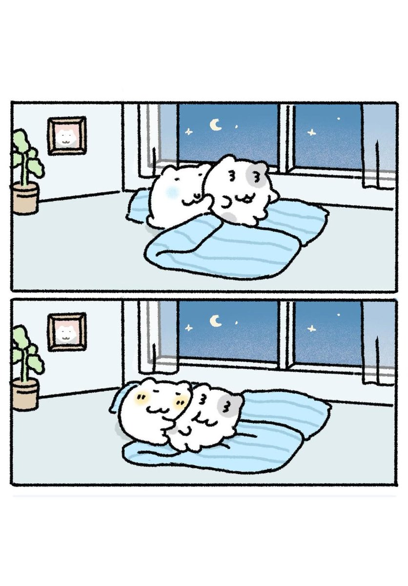 きみのぬくもりがちょうどいい🌟