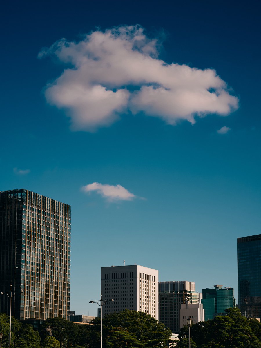 TOKYO "BLUE" SKY