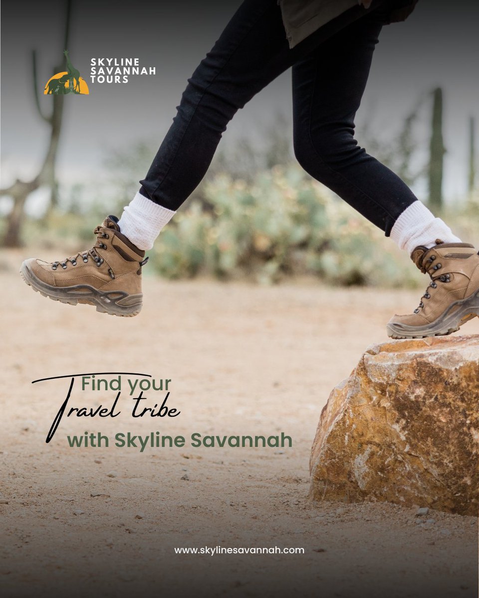 SkylineSavTours's tweet image. Find your travel tribe with Skyline Savannah Tours 🌍
Travel, connect, and create memories with people who share your love for adventure.
#TravelTribe #GroupTravel #ExploreTogether #WanderWithUs #SkylineSavannahTours #TravelCommunity