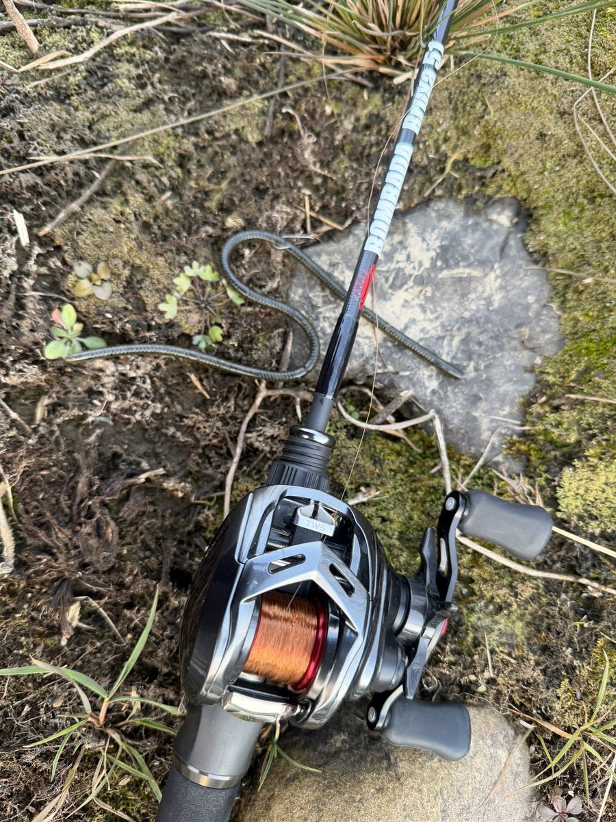 ⭐︎レイドジャパン　虎枠⭐︎ raidjapan