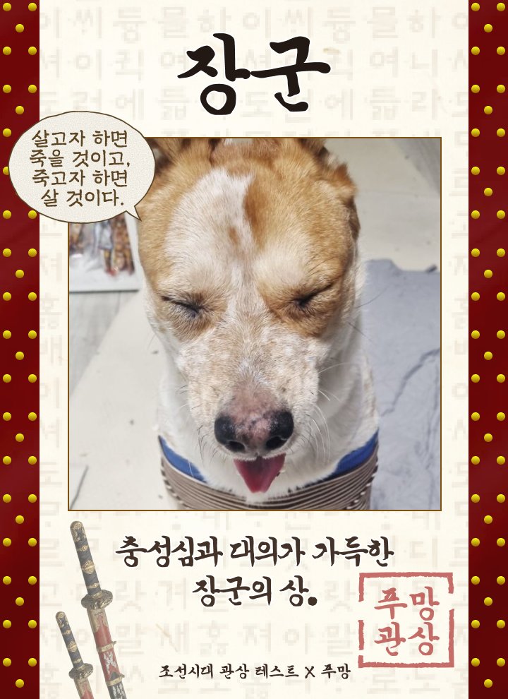 아 웃겨
마일로 장군감이래요ㅋ

#가족찾는마일로