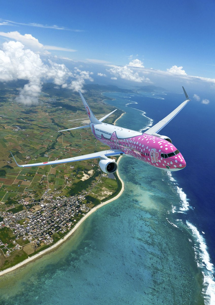 ✈️ーーー さくらジンベエ🌸 ㊗️就航12周年㊗️ ーーー🐋 本日2026年