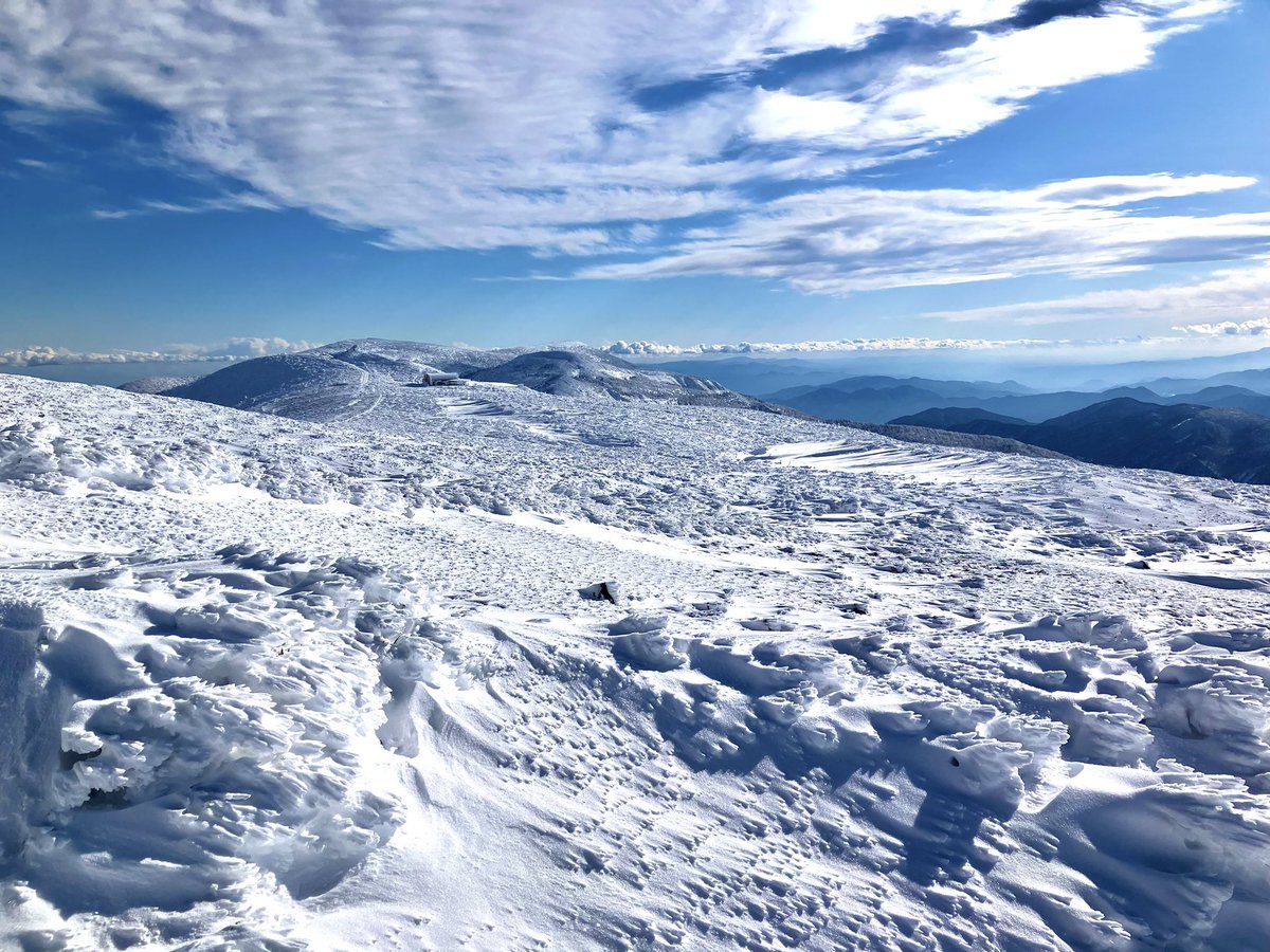 kouryu0803's tweet photo. 冬の蔵王。綺麗だった。

#蔵王　#ZAO #山形　#yamagata
#雪山 https://t.co/P9nNYze9G7