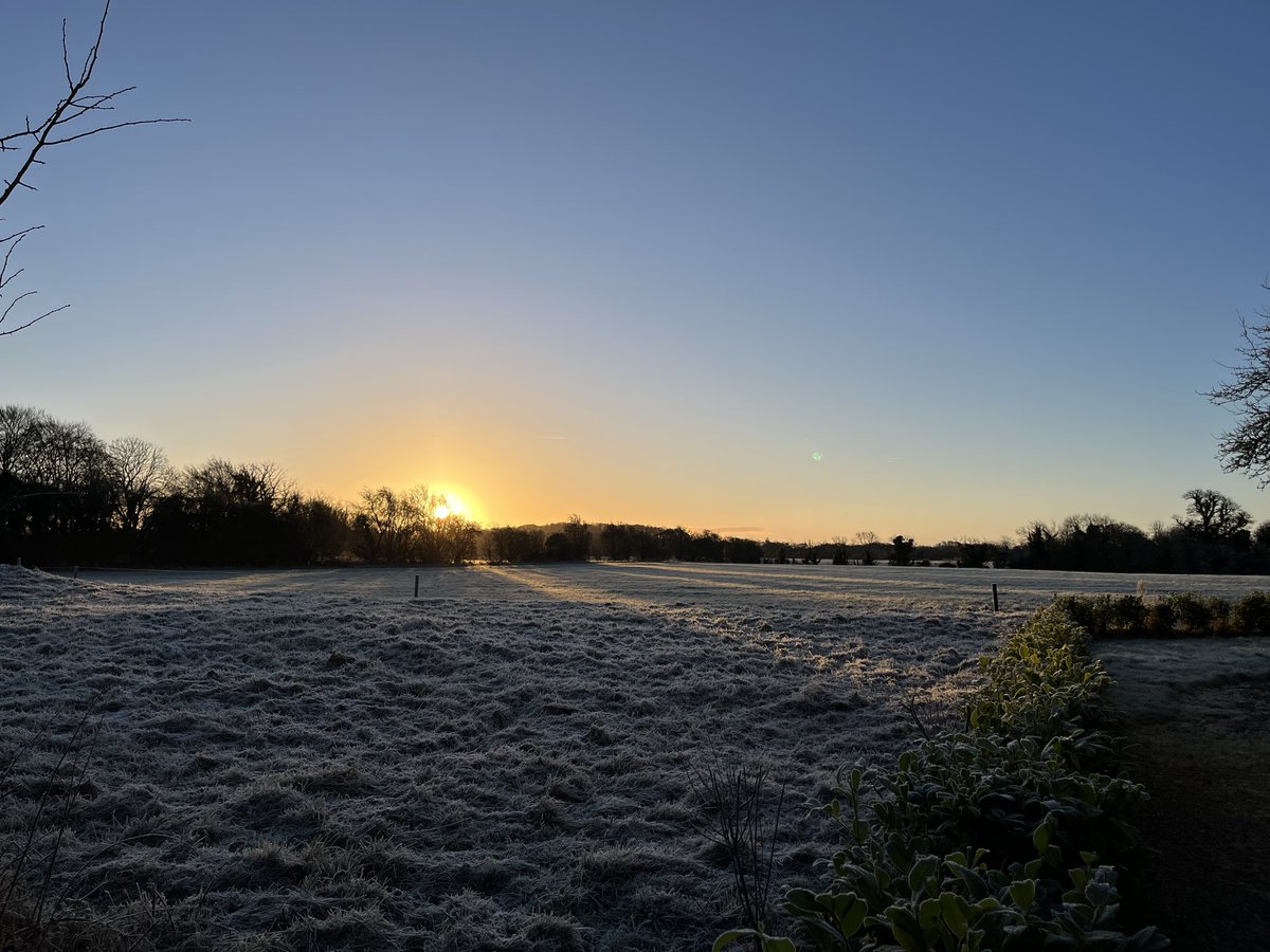 Chris Brown tweet media